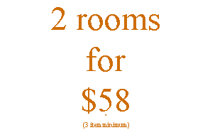 2 room carpet cleaning $58